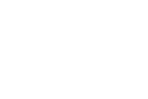 Logo Pro11 entreprise utilisatrice de Tim Management